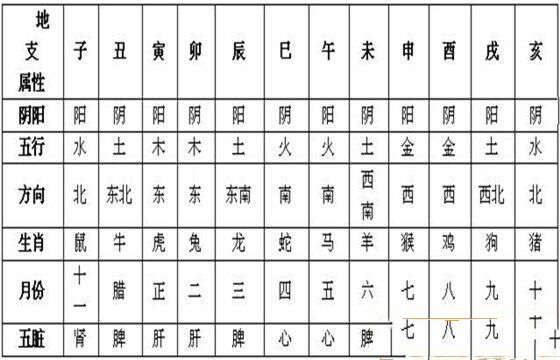 地支五行解析
