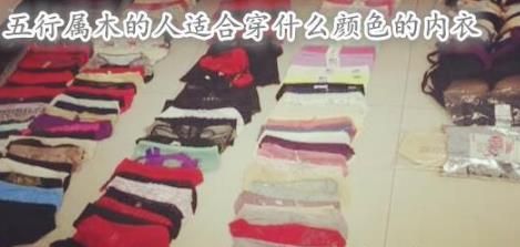 五行属木的人适合穿什么颜色的内衣