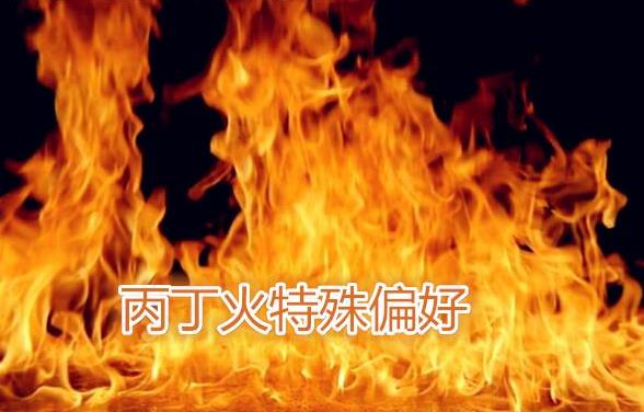 天干丙丁火的特殊偏好