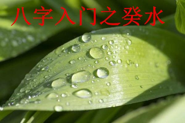 癸水日干如何取格局