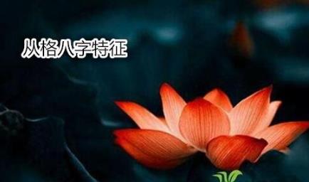 从格八字特征